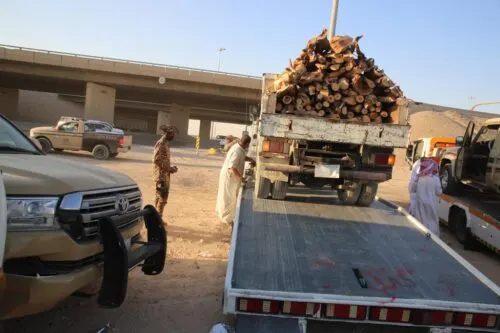 23 طناً من الحطب المحلي على متن 9 مركبات تقود إلى توقيف 10 أشخاص
