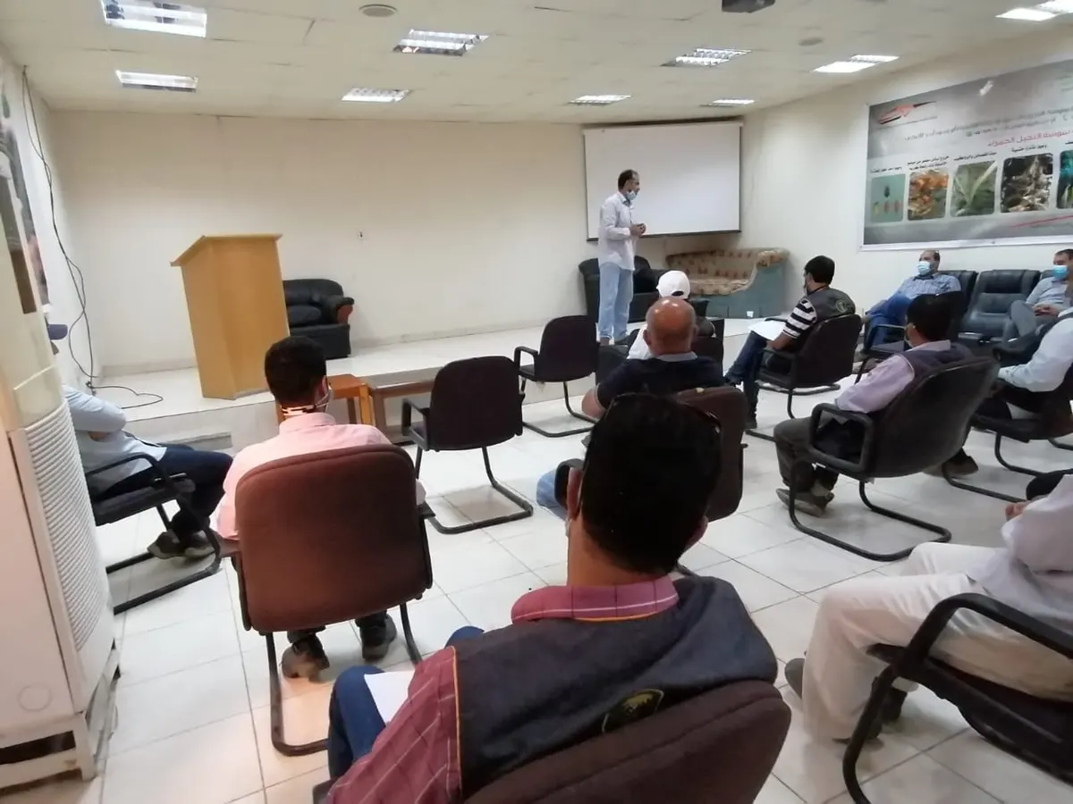 برنامج مكثف لرفع كفاءة علاج نخيل القطيف من السوسة الحمراء