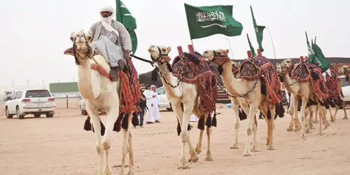غداً.. 164 شوطًا في سباقات الهجن بمهرجان المؤسس