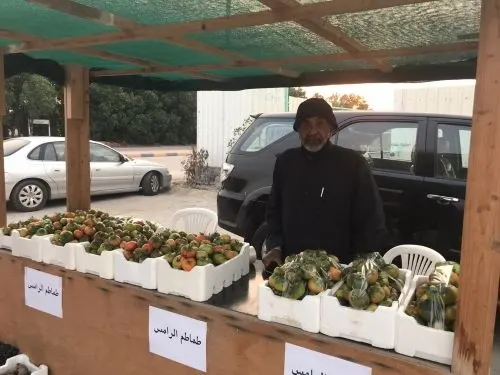 الطماطم الرامسي وصل.. “الأصلي” بـ 70 ريالاً.. و “التقليد” بـ 25