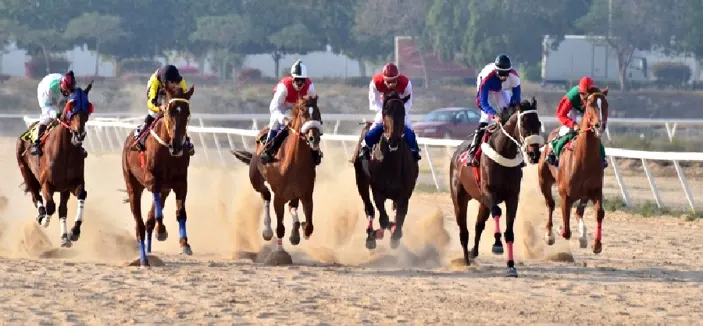 التركماني والفرماوي ضمن الفائزين في سباق فروسية الجبيل