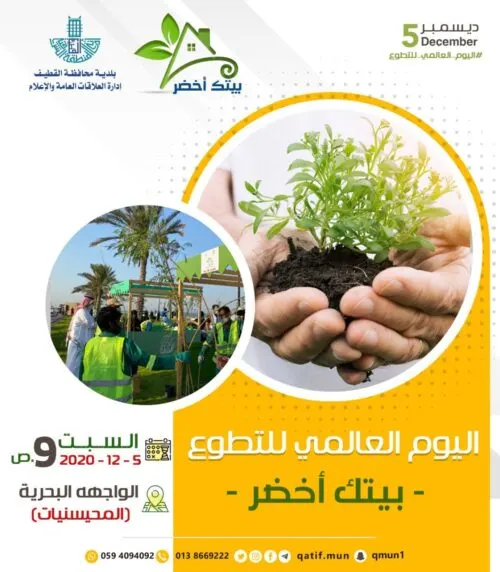 غداً.. “بيتك أخضر” مبادرة لتشجير كورنيش المحيسنيات في اليوم العالمي للتطوع