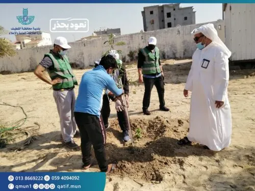 الأوجام تزرع 250 شجرة و300 زهرة
