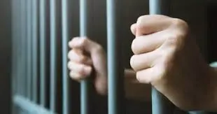 في 4 مناطق.. زيارة نزلاء السجون بالفيديو