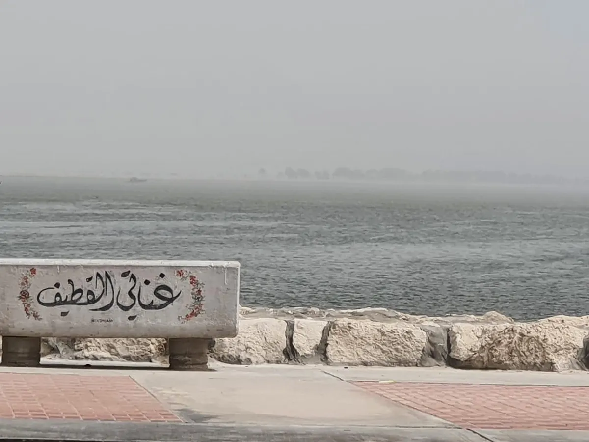 [صور] يوم أغبر جديد في الشرقية.. والأرصاد تحذر من الرياح السطحية
