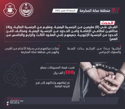 14 مقيماً ومخالفاً يسرقون أغناماً بقيمة 300 ألف ريال