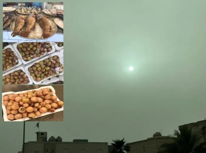 أيام البوارح “الغبراء” تصل بكيلو الهامور المحلّي إلى 90 ريالاً