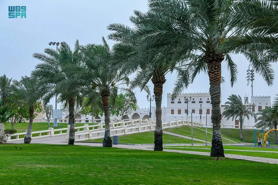 الشرقية.. 867 حديقة و100 ممشى و7 واجهات بحرية للسياحة والتنزه