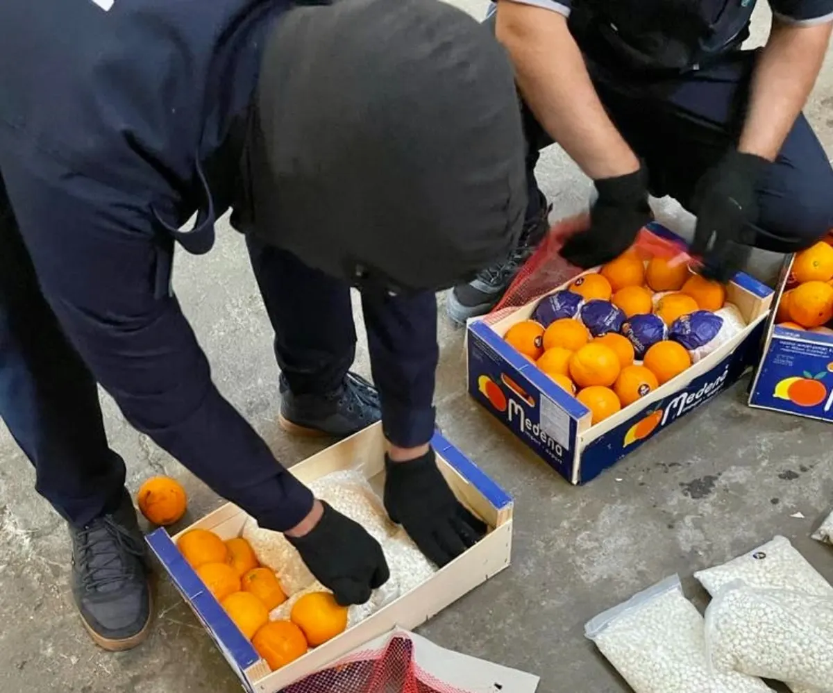 بعد الملابس والرمان والحديد.. 4.5 مليون حبة كبتاغون في شُحنة برتقال
