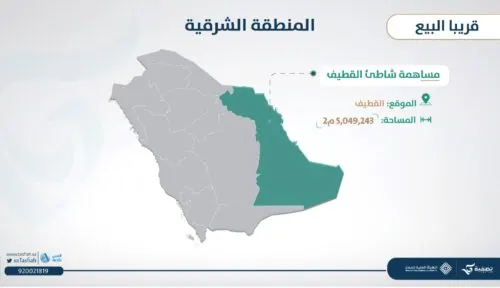 نهاية سعيدة لانتظار 13 عاماً.. بدء إجراءات بيع 3600 قطة أرض في مساهمة الشاطئ