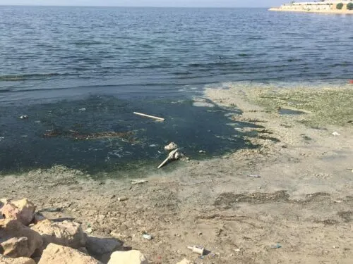 بقع التلوث في كورنيش سيهات مجدداً.. الحل مستعصي.. يا «زمان الصمت»