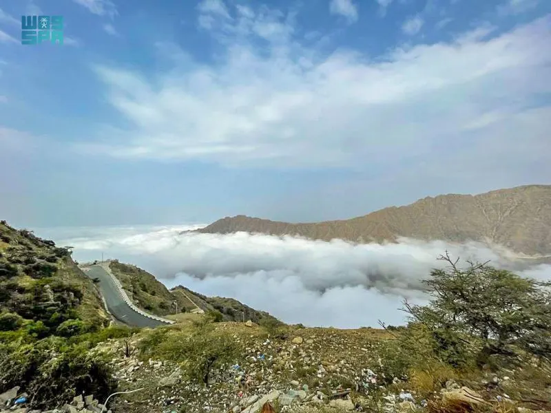 [صور] جبال الباحة.. أحزمة ضباب