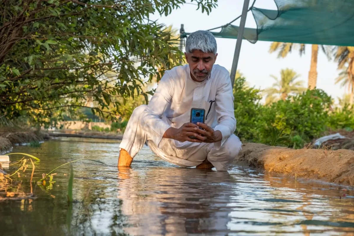 [صور] صيف القطيف الأخضر