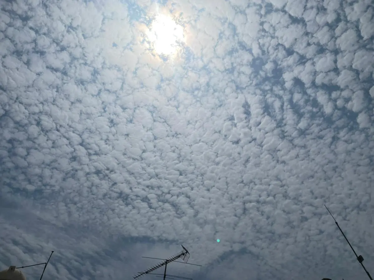 غيوم في سماء القطيف.. والحرارة تلامس 50 درجة مئوية