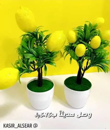 المنتج بـ 5.75 ريال فقط لدى كاسر الأسعار