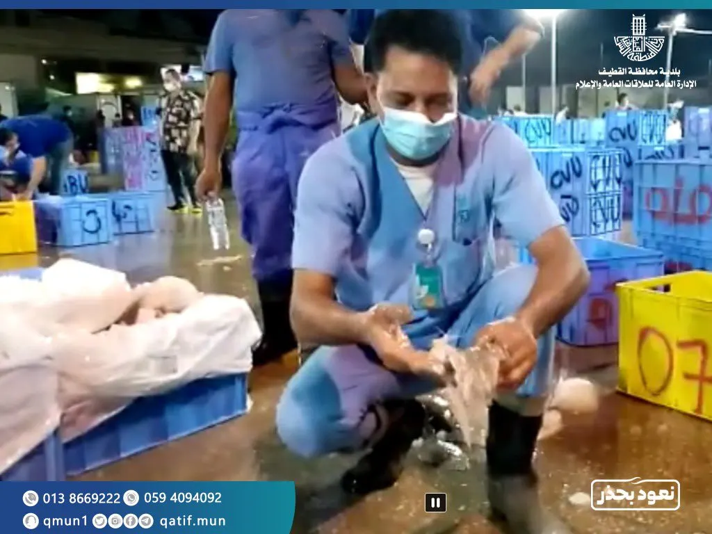 [القطيف] مصادرة 4 أطنان أسماك فاسدة.. وإغلاق منشأتين في القديح