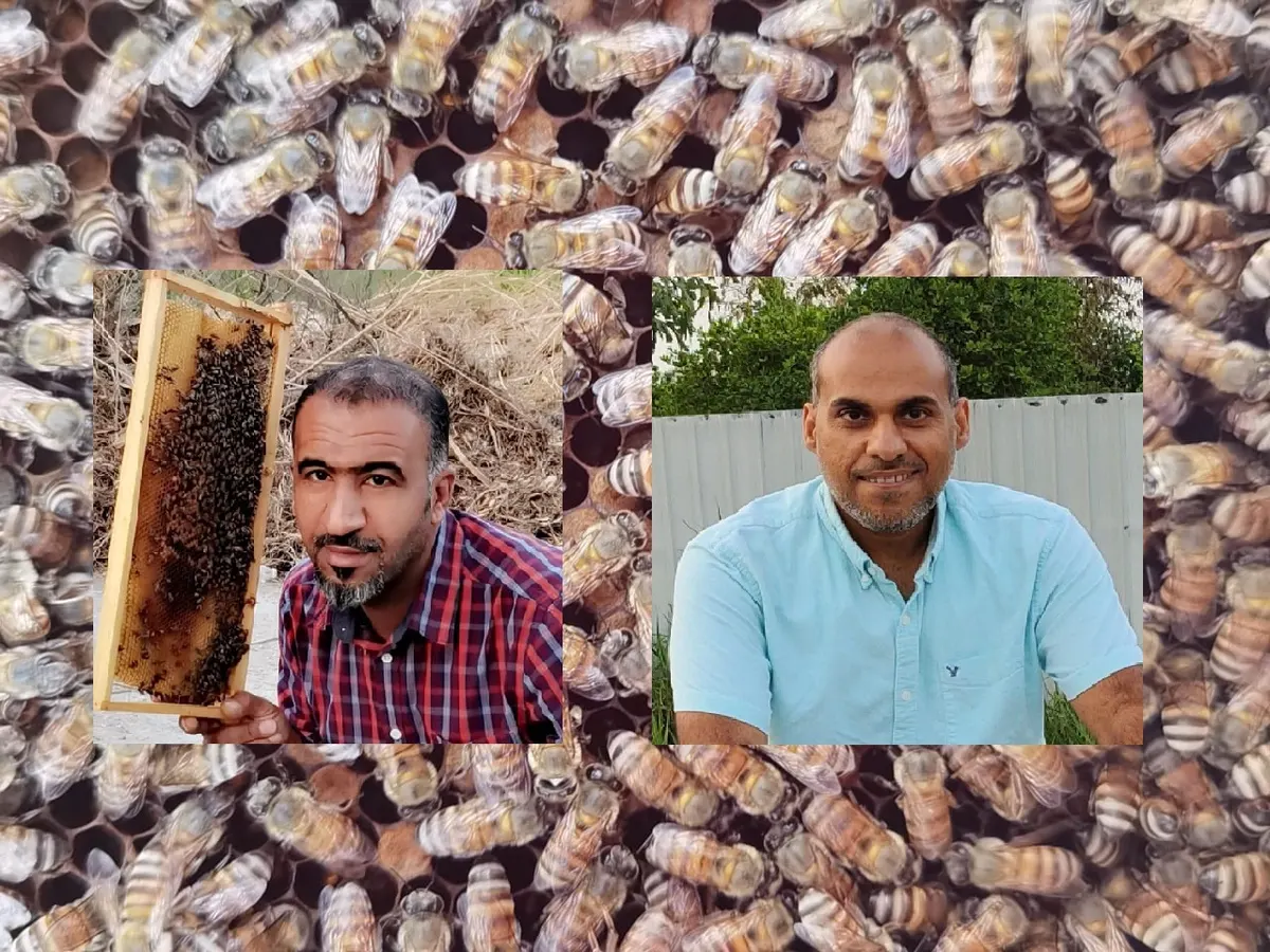 عويشير والشخل.. ثُنائي مجهول وراء دعم صناعة العسل في القطيف
