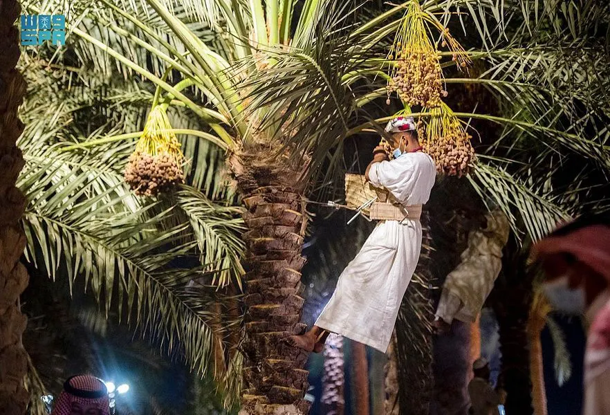 “النخلاويون الجُدد” يتدربون على درجات النخيل الـ6