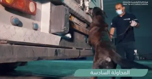 الأشعة والكلاب البوليسية تحبط 6 محاولات لتهريب 1.1 مليون حبة كبتاغون