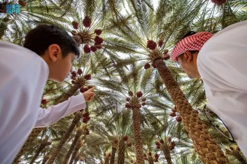 الشرقية.. ورشة عمل عن احتياجات المهن الزراعية