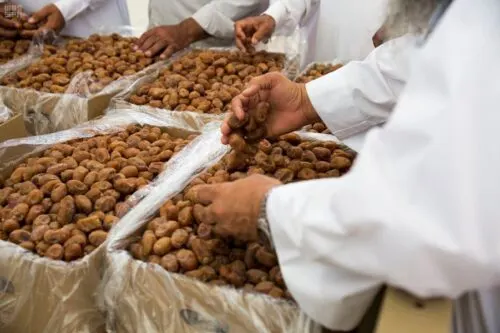 خلال أسبوعين.. مبيعات تمور الأحساء تتجاوز 3.5 ملايين ريال