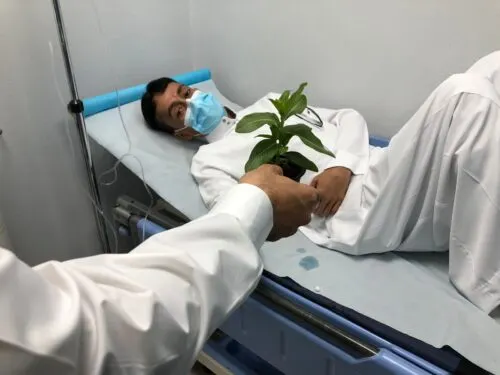 [اليوم الوطني] «زراعة القطيف» يوزع 91 شتلة أمل.. لمواجهة الألم