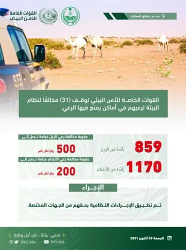 التعدي على البيئة يكلف 32 سعودياً ومقيماً 693 ألف ريال