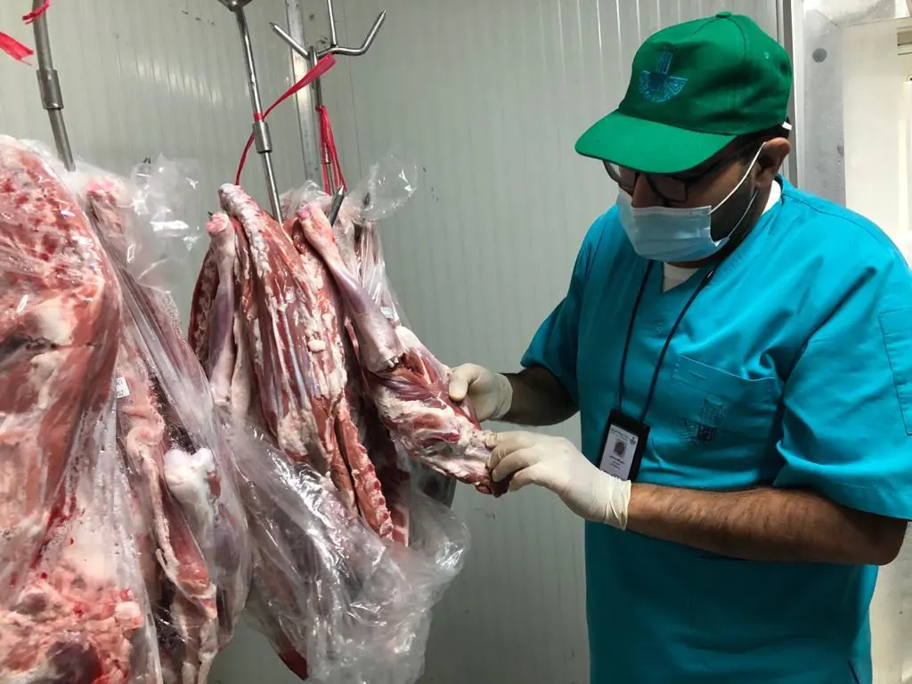 1300 جولة تفتيش تُغلق 4 محال في الشرقية