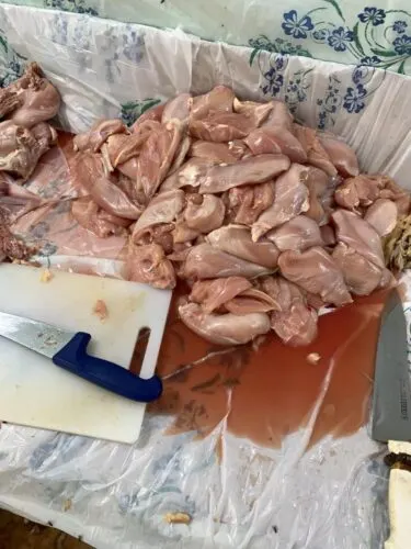 طن دجاج في منزل يستخدمه عمال مستودعاً للتقطيع