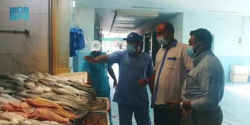 في سوق القطيف.. أسماك وروبيان بالحشرات.. وأدوات تقطيع «مصدية»