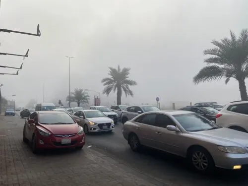 أنه موسم الضباب في الشرقية.. فاحذروا