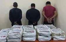 جازان.. التعامل مع جريمتي نقل 40 مخالفاً.. وواقعة محتوى مسيء