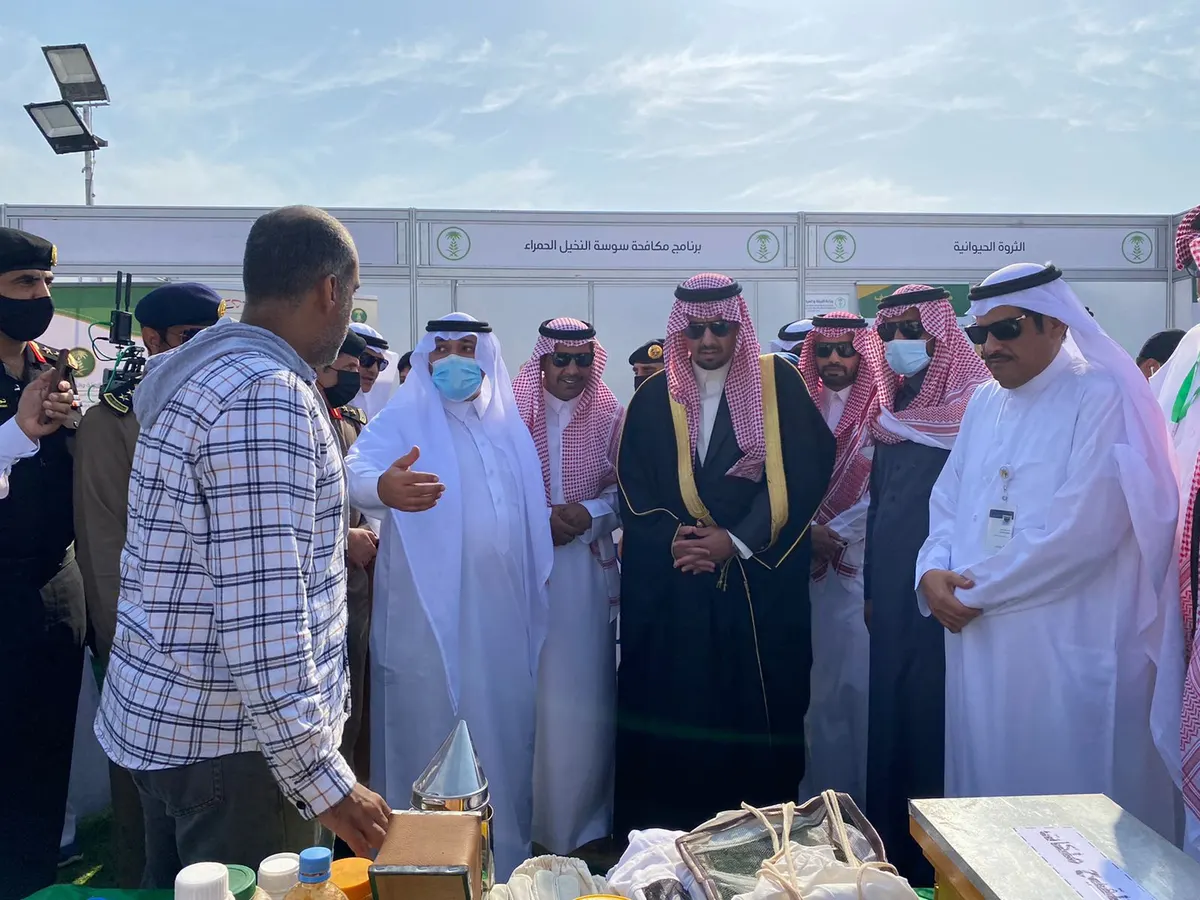 3 أيام قطيفية خضراء.. خبراء الزراعة في الهواء الطلق.. بلا مكاتب