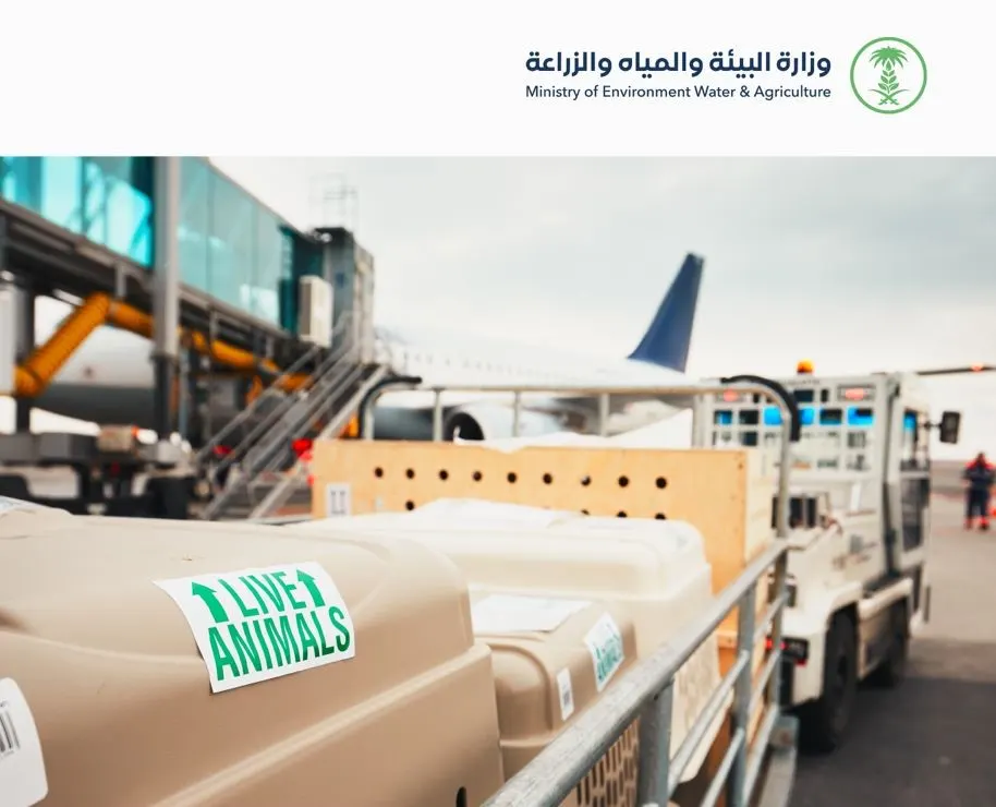 تطلقها “الزراعة”.. خدمات ترانزيت إلكترونية للأفراد وقطاع الأعمال