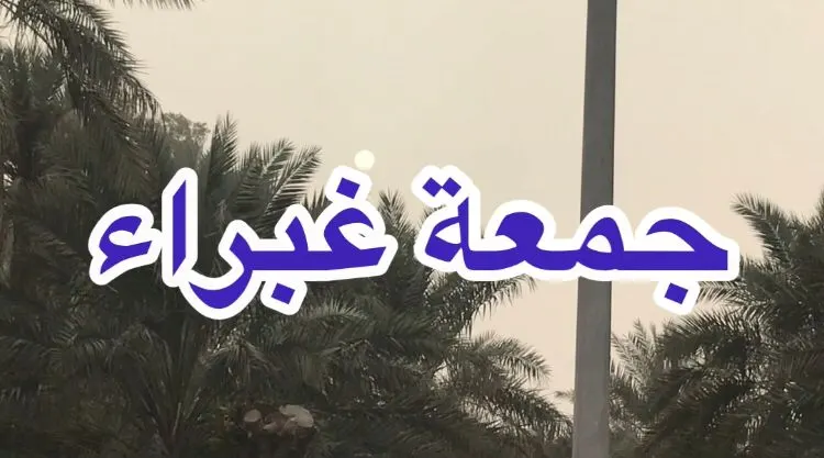 [فيديو] نهار الجمعة.. أغبر.. وبارد