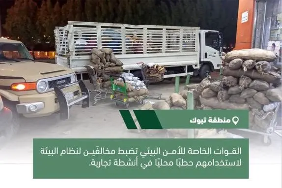 تغريم سوداني وباكستاني 320 ألف ريال بسبب “الحطب”