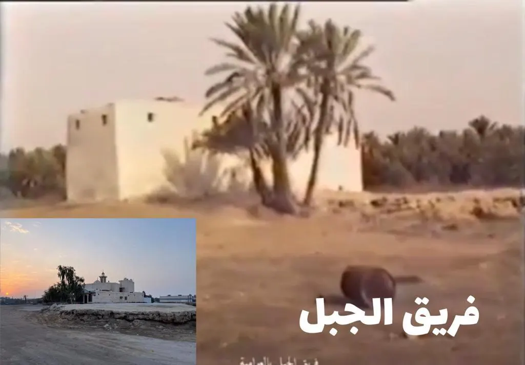 فريق الجبل سنة 59.. هجرة فلّاحي العوامية بعد الحريق الكبير