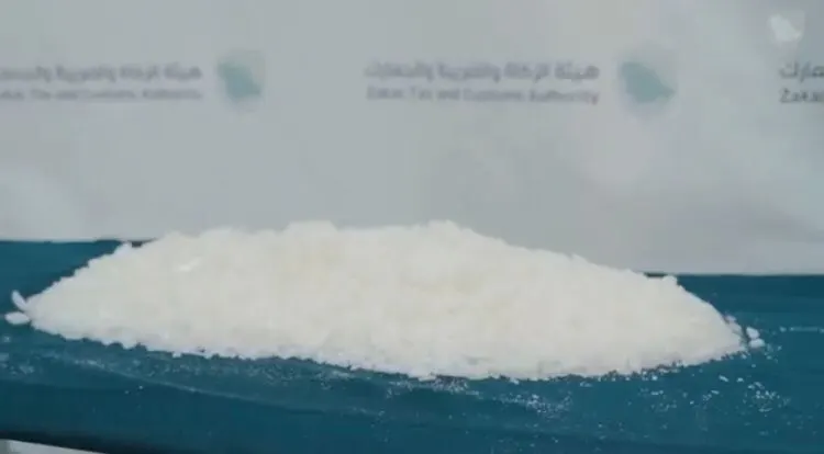 [فيديو] 168 كيلو “شَبو”.. لو دخلت لدمّرت