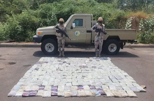 إحباط تهريب 300 كيلو حشيش في “الداير”