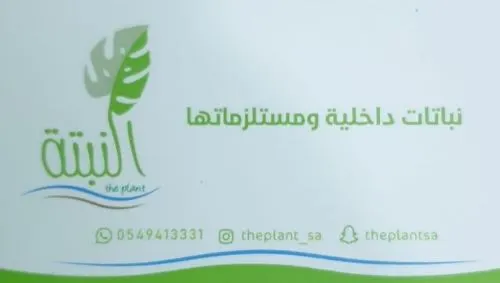 أقوى العروض بمناسبة فوز الأخضر لدى “النبتة” للنباتات الداخلية