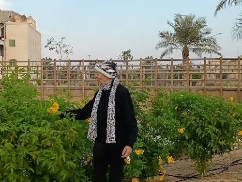 إشادة ألمانية.. شوماخر: مشروع “الرامس” فريد من نوعه
