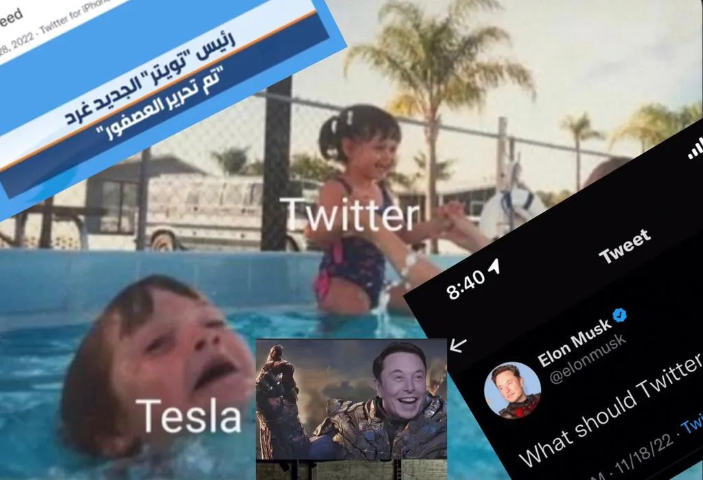 هل طاح جمل “تويتر” وكثرت سكاكينه…؟!