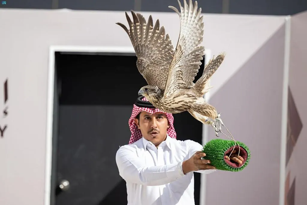 5 أشواط.. 157 صقاراً يثيرون الحماس في مهرجان الملك عبد العزيز