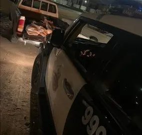 حطب ورواسب.. التحقيق مع 12 مخالفاً عبثوا بالبيئة في 7 مناطق