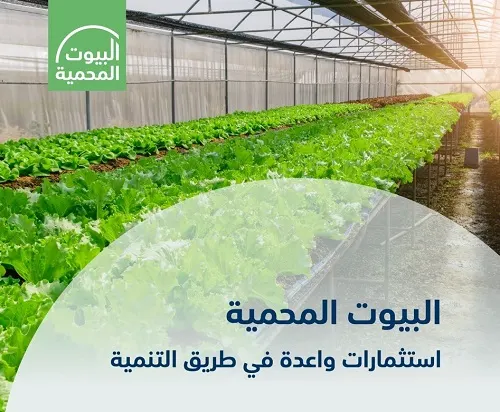 4 مليارات ريال للتوسع في البيوت المحمية
