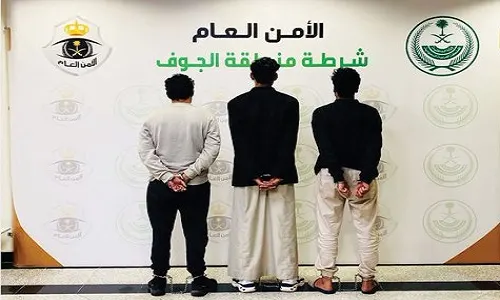 القبض على 3 حرامية في الجوف