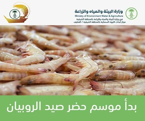 الليلة.. آخر نزلة لصيد الربيان في الموسم