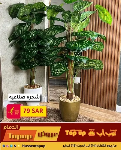 لمدة 5 ايام.. الحسين توب اب حرقنا الاسعار