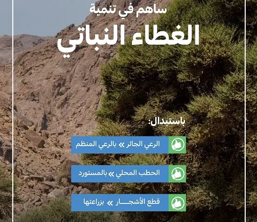 الحطب والرعي والزراعة.. الثلاثي المُعزز للغطاء النباتي