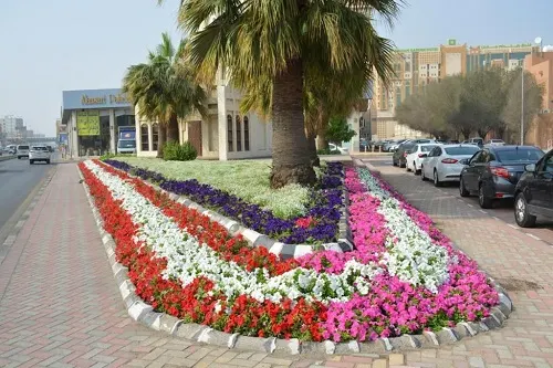 أزهار حاضرة الدمام